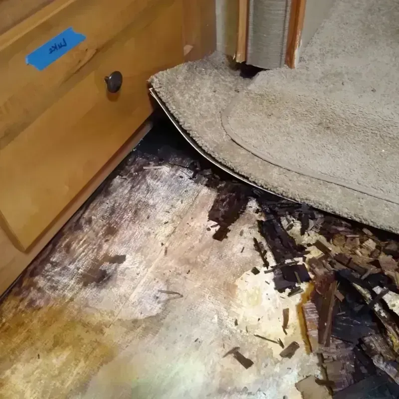 Wood Floor Water Damage in Oakboro, NC